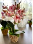 Manóvilág Cserepes Orchidea / Rózsaszín / 28cm (élethű, Gondozásmentes)