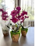 Manóvilág Cserepes Orchidea / Pink/ 28 Cm (élethű, Gondozásmentes)