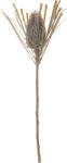 Bloomingville Floare artificală Bloomingville ciulin decorativ maro (82061471)