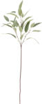 Bloomingville Floare artificală Bloomingville eucalipt 18 x 85 cm verde (82061520)