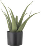 Bloomingville Floare artificială în ghiveci Bloomingville aloe S (82061499)