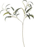 Bloomingville Floare artificală Bloomingville eucalipt 101 cm verde (82061519)