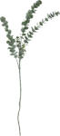 Bloomingville Floare artificală Bloomingville eucalipt 76 cm verde (82061514)