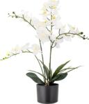 Bloomingville Floare artificială în ghiveci Bloomingville orhideea L (82061501)