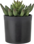 Bloomingville Floare artificială în ghiveci Bloomingville echeveria S (82061505)