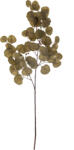 Bloomingville Floare artificală Bloomingville eucalipt 86 cm maro (82061474)