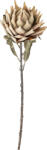 Bloomingville Floare artificală Bloomingville ciulin de argint 76 cm bej (82061468)