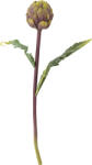 Bloomingville Floare artificală Bloomingville ciulin de argint 54 cm violet (82061523)