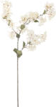 Bloomingville Floare artificală Bloomingville myrtle albă (82061482)