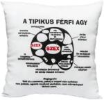  Tipikus férfi agy párna - Vicces ajándék - Ajándék ötlet Férfiaknak (80528)