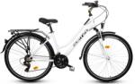 Goetze Gemini Lady 28 Bicicleta