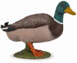 Papo Figurina Papo - Animale de la ferma, Rata Mallard Figurina
