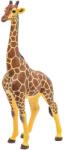 Papo Figurina Papo - Animale salbatice, Girafa Mascul Figurina