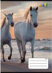 Victoria Füzet, tűzött, A5, vonalas, 32 lap, 3. osztály, COOL BY VICTORIA, "Horses", "12-32 (ISVFC78) - tintasziget