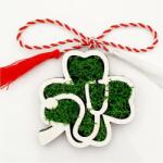 Gravolo Martisor trifoi stetoscop cu licheni stabilizati verzi pentru medici doctori (C1009)