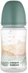 Canpol babies Biberon anti-colici EasyStart Mountains 240 ml verde (35-243_GRE)