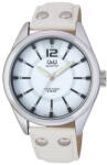 Q&Q Q736J301Y Ceas