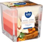 BISPOL Ароматна свещ Bispol Aura - Vanilla and Amber, 170 g (snk80-355)