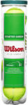 Wilson STARTER PLAY GREEN 4TBALL (WRT137400+)