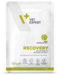 VetExpert Veterinary Diet Recovery tasak macskáknak 100 g