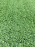 Delta Carpet Covor Gazon Iarba Artificiala Function, Verde, 10 mm, Latime 2 m (GAZON-10-210)