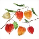Ambiente Lampion flower papírszalvéta 33x33cm, 20db-os