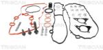 TRISCAN Set curea de distributie TRISCAN 8647 10099 (8647 10099)