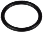 DeLonghi Garnitura infuzor Delonghi 5313238581 (5313238581)