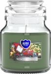 BISPOL Ароматна свещ Bispol Aura - Winter Tree, 120 g (snd71-348)