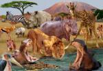 Bluebird Puzzle - Puzzle Kilimanjaro - 1 000 piese Puzzle