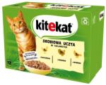 Kitekat Pasare in aspic 12x85g hrana umeda pentru pisici cu pui, curcan, pasare