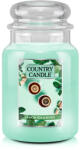 Kringle Candle Lumanare Country Candle Lemon Tea & Roses lumanare mare cu 2 fitiluri parfumate (737 g),
