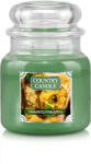 Kringle Candle Lumanare Country Candle Charred Pineapple mediu cu 2 fitiluri parfumate (510g),