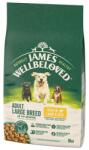 James Wellbeloved Adult 10 kg teljes értékű szárazeledel felnőtt nagytestű kutyáknak >14 hónapos - 10 éves korig, bárányhúsban és rizsben gazdag