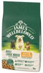 James Wellbeloved Adult 10 kg teljes értékű szárazeledel felnőtt nagytestű kutyáknak >14 hónapos - 10 éves korig pulyka- és rizstartalommal