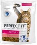 Perfect Fit (Active 1+) 750g marhahúsban gazdag teljes értékű szárazeledel felnőtt macskák számára