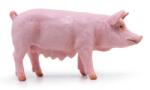 Papo Figurina Papo - Animale de la ferma, Scroafa Figurina