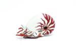 Papo Figurina - Nautilus, Multicolor, 6 cm Figurina