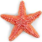 Papo Figurina Papo - Universul acvatic, Stea de Mare Figurina