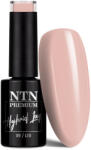 NTN Premium UV/LED 120#