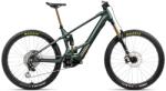 Orbea Wild M-LTD 29 (2025)