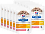 Hill's Hill's Prescription Diet c/d Multicare Feline Salmon 12x85g