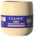 Foamie Concentrate Moisture Shampoo 80 g - parminunat
