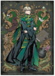 dodo Puzzle Dodo Draco Malfoy 250 piese (DO200496) Puzzle