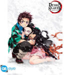  Demon Slayer - Tanjiro & Nezuko poszter (52x38)