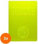 Statovac-komerc Set 3 x Caiet A5 Dictando, 42 File, 80 g, Coperta Neon PP, Varianta 3 (HOK-3xKH-O100 971D_3)