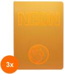 Statovac-komerc Set 3 x Caiet A5 Dictando, 42 File, 80 g, Coperta Neon PP, Varianta 1 (HOK-3xKH-O100 971D_1)
