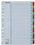 Esselte Index Esselte Mylar A4 cu taste laminate 1-31 (ESS100164)