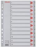Esselte Index Esselte A4 numerotat 1-12 (ESS100106)
