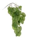 Bizzotto Planta artificiala plastic verde 95 cm (0171817deco)